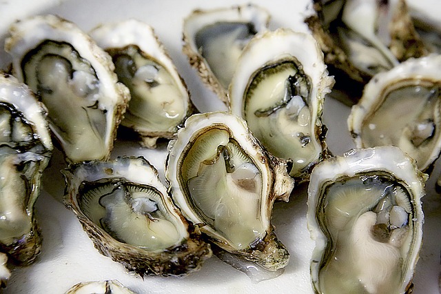 image of Don't Miss the Delicious DC Oyster Festival