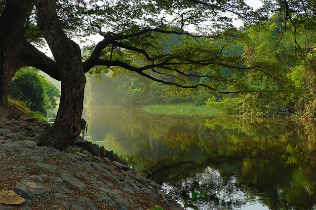 Don T Wait Until Spring To Explore The Kenilworth Park Aquatic